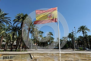 Flag of Spain at the Paseo de la EstaciÃÂ³n in the city of Elche photo
