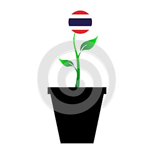 Flag of Thailand in emoji design growing up as sapling in vase, Thailand emogi tree flag photo