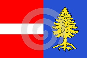 Flag of Thann in Haut-Rhin of Grand Est is a French administrative region of France
