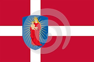 Flag of Thisted in Southern Denmark Region