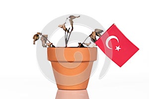 Flag of turkey in a flowerpot with drought flower