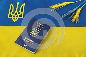 Flag of Ukraine and coat of arms trident, cloth with blue and yellow stripes, Ukrainian passport, blue and yellow ears of wheat