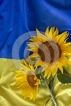 Flag Ukraine and sunflowers