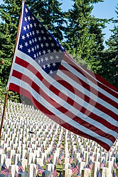 Flag Unfurled