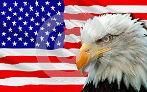 Flag of USA photo