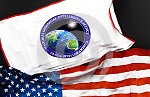 Flag of the United States National Geospatial to Intelligence Agency photo