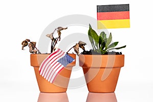 Flag of usa or united states and germany in a flowerpot