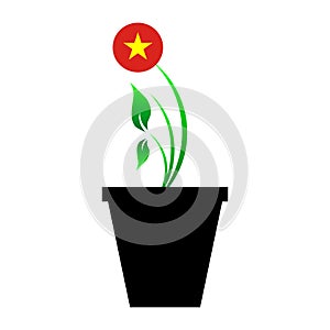 Flag of Vietnam in emoji design growing up as sapling in vase, Vietnam emogi tree flag photo