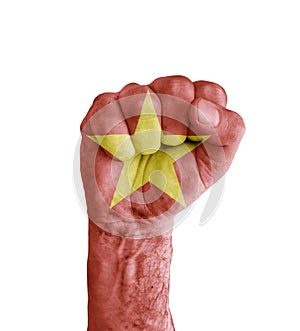 Flag of Vietnam painted on human fist like victory symbol