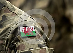 Flag of Wales on military uniform. Army, armed forces, soldiers. Collage photo