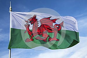 Flag of Wales - United Kingdom