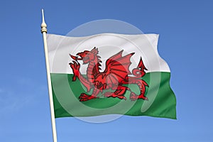 Flag of Wales - United Kingdom