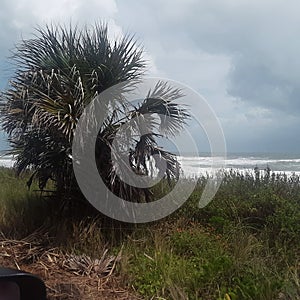 Flagler beach. Hurricane Dorian clouds photo