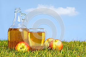 Flagon and pint of apple cider