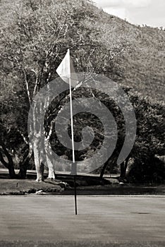 Flagpole, Green & Busy Background