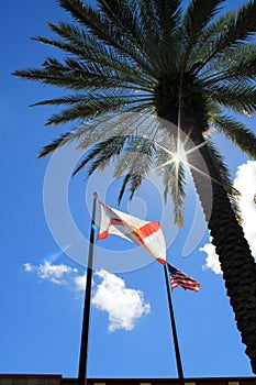 Flags against the light