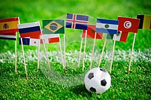 Flags of all football nations on green grass. Football ball, Fans, support photo, edit space