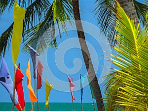 Flags on the beach