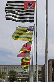Flags of Brazilian states photo