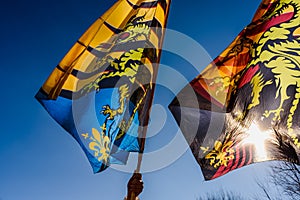 Flags of the brotherhood of Sbandieratori Di Fivizzano parading in a medieval festival