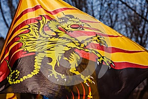 Flags of the brotherhood of Sbandieratori Di Fivizzano parading in a medieval festival