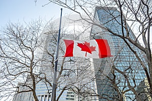 Flags of Canada in Montreal downtown