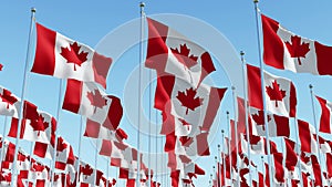 Flags of Canada waving against clear blue sky.