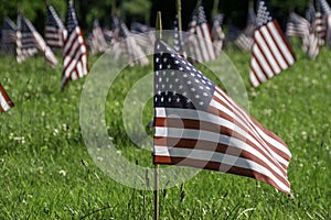 Flags at Cemetery in Pittsburgh