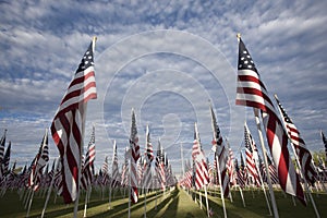 Flags with Clouds