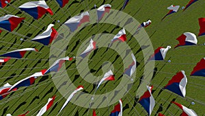 flags of Czech Republic view from above in green field