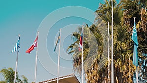 Flags of different countries on the background of palm trees