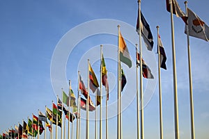 flags of different countries in a row in front of the entrance of EXPO2020