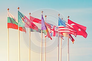 Bandiere da diverso paesi sul bianco alberi 
