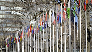 Flags of different nations at United Nations Plaza in New York - street photography
