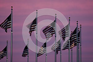 Flags at Dusk