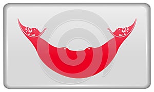 Flags Eaaster Rapa Nui in the form of a magnet on refrigerator with reflections light.