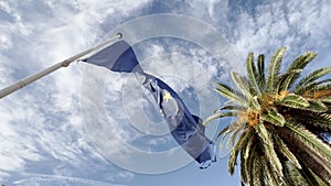 Flags of the European Union waving in the wind at sunny day, blue sky with clouds on background, palm trees