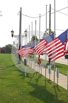 Flags at half staff