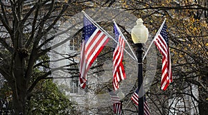 Flags hanging from streetlight