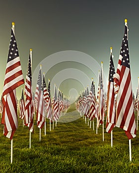 Flags in the Healing Fields for 9/11