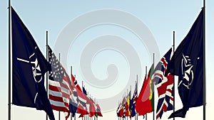 the flags of the member countries of the Nato Alliance against the sky