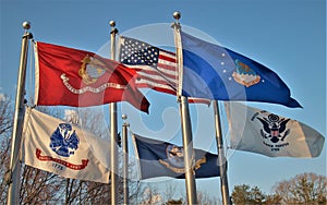 Flags over Veterans Memorial in King, North Carolina