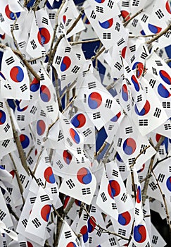 Flags of South Korea photo