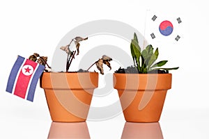 Flags of south korea and north korea in a flowerpot with drought