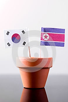 Flags of southkorea and northkorea