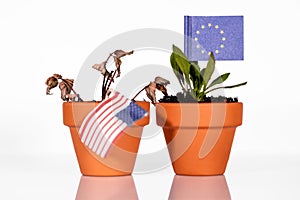 Flags of of usa and EU in a flowerpot with drought flower