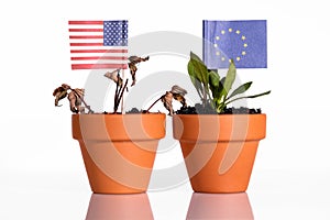 Flags of usa and europe in a flowerpot with drought flower