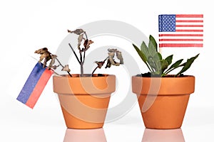 Flags of usa and russia in a flowerpot with drought flower