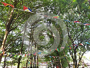 flags of various countries in the world