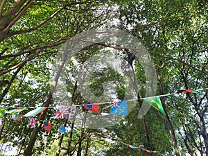 flags of various countries in the world